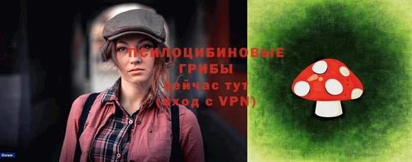 ГАЛЛЮЦИНОГЕННЫЕ ГРИБЫ Алексин