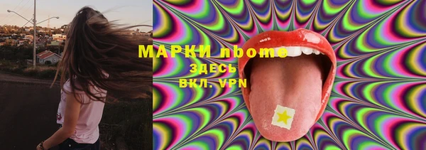 ГАЛЛЮЦИНОГЕННЫЕ ГРИБЫ Алексин
