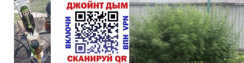 купить наркотики цена  Анапа  Бошки марихуана сатива 